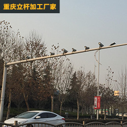 電子警察八棱桿